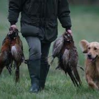 Briano (PD) contro gli "ambientalisti" del suo partito