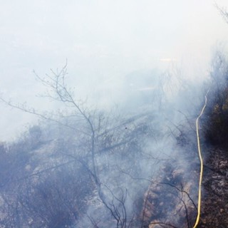 Andora, incendio boschivo nei pressi del casello autostradale Andora, incendio boschivo nei pressi del casello autostradale
