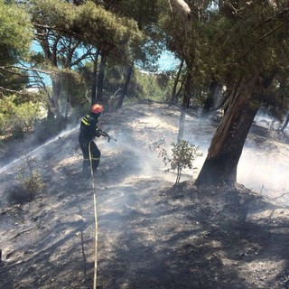 Finale Ligure, incendio sterpaglie in località Valgelata