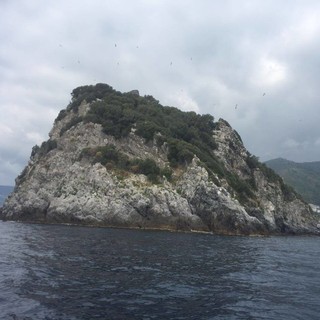 Bergeggi: tanti eventi per l'estate dalle escursioni allo snorkeling