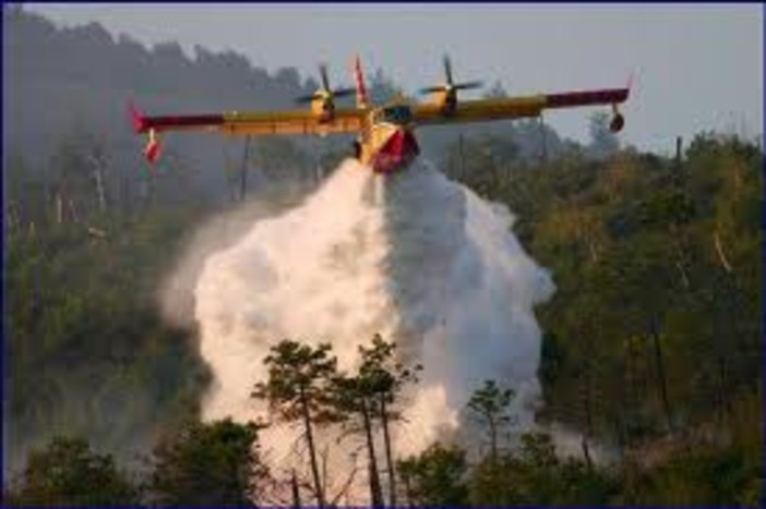 Attivato un Numero Verde antincendi boschivi: 800 - 807047. Ma altre sono le priorita' per i Vigili del Fuoco Attivato un Numero Verde antincendi boschivi: 800 - 807047. Ma altre sono le priorita' per i Vigili del Fuoco