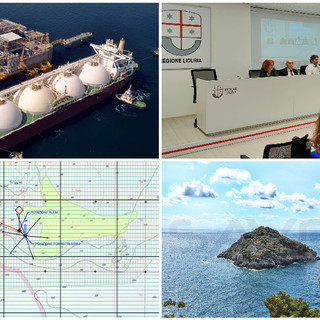 Rigassificatore, sull'impatto ambientale i tecnici rassicurano: "Nessun habitat di interesse comunitario coinvolto" Rigassificatore, sull'impatto ambientale i tecnici rassicurano: "Nessun habitat di interesse comunitario coinvolto"