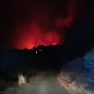 Incendio boschivo ad Alassio: mobilitati i mezzi aerei, evacuate alcune abitazioni