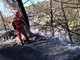 Le fiamme da Levante a Ponente non si placano: dopo Cogoleto, incendio a Stellanello