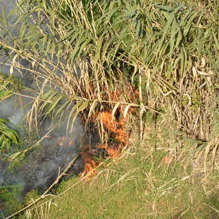 Principio di incendio in via N.S. degli Angeli a Savona, l'intervento dei Vigili del Fuoco mette in fuga chi stava bruciando sterpaglie