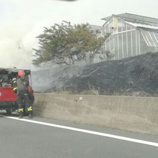 Incendio vicino all'autostrada tra Albenga e Ceriale