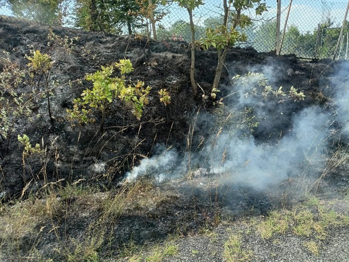 Incendio boschivo a Dego, le fiamme in località Paniera: i carabinieri forestali indagano (FOTO)