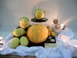 L'intaglio vegetale