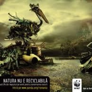 Rifiuti, ampliamento Boscaccio: il WWF non ci sta Rifiuti, ampliamento Boscaccio: il WWF non ci sta