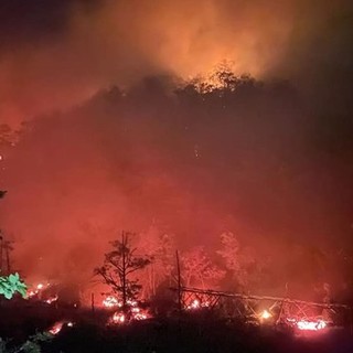 Savona, il sindaco firma un'ordinanza sullo stato di grave pericolosità per gli incendi boschivi Savona, il sindaco firma un'ordinanza sullo stato di grave pericolosità per gli incendi boschivi