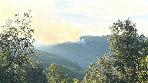 Nella foto, l’incendio divampato a Stella Santa Giustina Nella foto, l’incendio divampato a Stella Santa Giustina