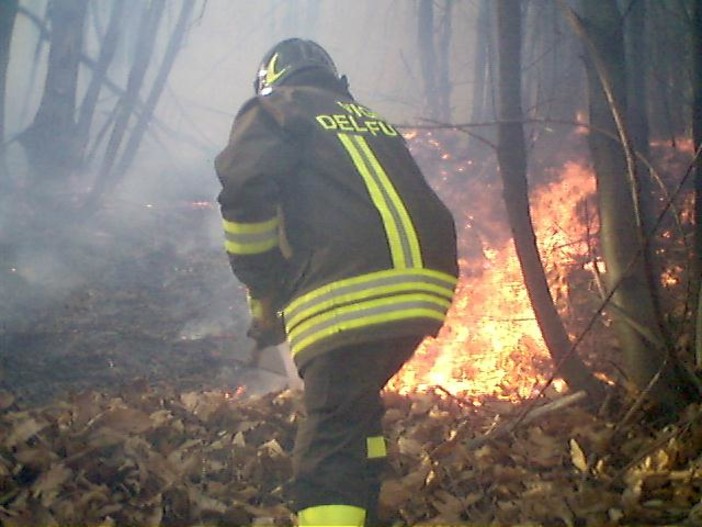 Spotorno: è tornato in azione il piromane di via dei Pini Spotorno: è tornato in azione il piromane di via dei Pini
