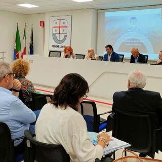 Rigassificatore, vertice in Regione con Quiliano. Il sindaco: "Esposte le problematiche e abbiamo espresso contrarietà"