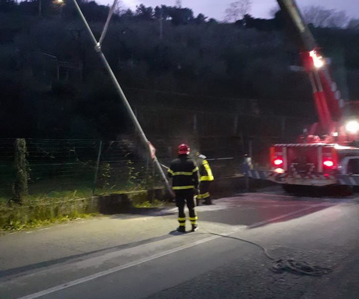 Quiliano, auto sbanda e finisce contro un palo della luce: intervento dei vigili del fuoco (FOTO) Quiliano, auto sbanda e finisce contro un palo della luce: intervento dei vigili del fuoco (FOTO)