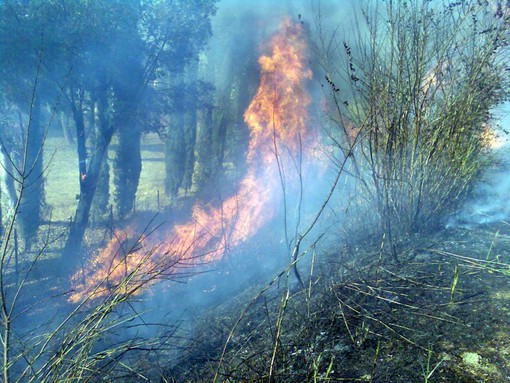 Stella: incendio di sterpaglie in mattinata, colpita un'area di 100 mq Stella: incendio di sterpaglie in mattinata, colpita un'area di 100 mq