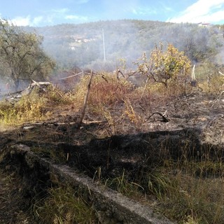 Domato l'incendio boschivo ad Erli, ma verrà presidiato tutta la notte