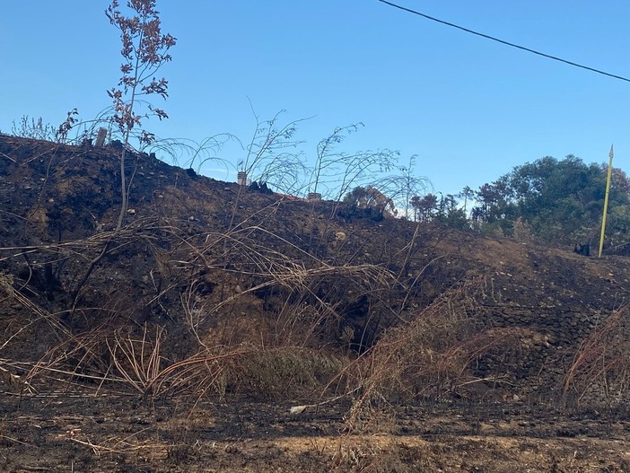 Spento il rogo nell'albenganese, il sindaco di Arnasco: "Teniamo alta l'attenzione, rischio incendi sempre alto e emergenza idrica non è finita" Spento il rogo nell'albenganese, il sindaco di Arnasco: "Teniamo alta l'attenzione, rischio incendi sempre alto e emergenza idrica non è finita"