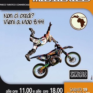 Freestyle a Molo 8.44: - 11giorni