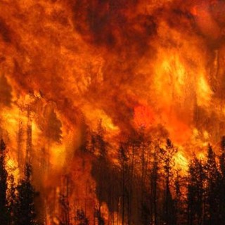 Il decalogo di WWF e Questura di Savona per evitare i "classici" incendi da merendino