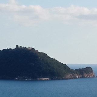 La proposta dell'onorevole Vazio: "La Gallinara diventi capitale dell'archeologia subacqua"