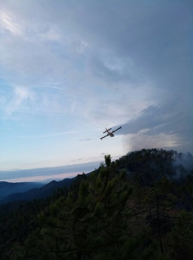 Incendio boschivo tra Sassello e Pareto: situazione sotto controllo, ma l'attenzione resta alta (FOTO e VIDEO) Incendio boschivo tra Sassello e Pareto: situazione sotto controllo, ma l'attenzione resta alta (FOTO e VIDEO)