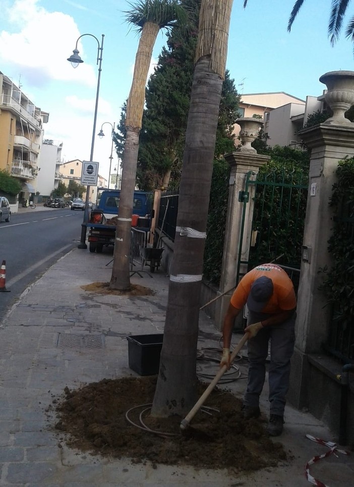 Finale, due famiglie donano alberature al comune: i ringraziamenti del sindaco