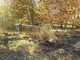 Plodio, incendio di sottobosco in località Piani