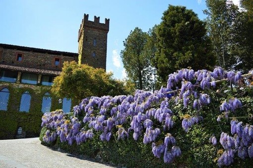 Castelli e ville da sogno, ma anche immobili per aziende e da investimento. Scopriamole insieme! Castelli e ville da sogno, ma anche immobili per aziende e da investimento. Scopriamole insieme!