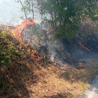 Incendio sulla Sp11 a Plodio: intervento della protezione civile e dei vigili del fuoco (FOTO) Incendio sulla Sp11 a Plodio: intervento della protezione civile e dei vigili del fuoco (FOTO)
