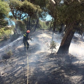 Incendi boschivi, permane stato di grave pericolosità. L'assessore Mai: "Pronti elicotteri della Regione per individuare i trasgress Incendi boschivi, permane stato di grave pericolosità. L'assessore Mai: "Pronti elicotteri della Regione per individuare i trasgress