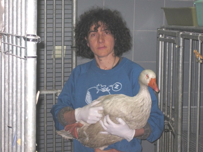 Enpa, continua l'emergenza nel Rio Carenda Enpa, continua l'emergenza nel Rio Carenda