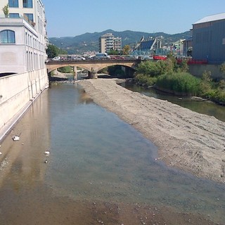 Savona, intervento di recupero della fauna ittica in difficoltà alla foce del fiume Letimbro
