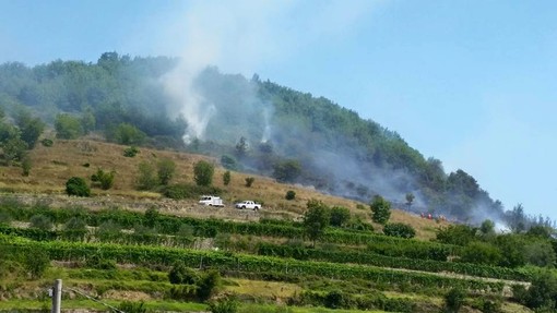 Borgio Verezzi, incendio boschivo in località Torre Bastia: in corso le operazioni di bonifica