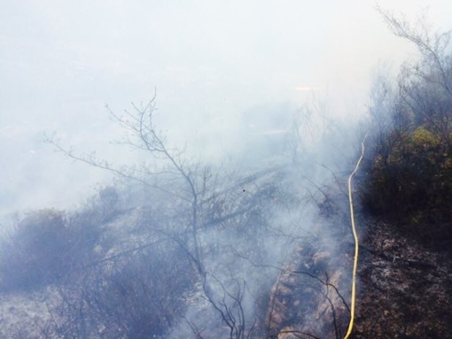 Andora, incendio boschivo nei pressi del casello autostradale Andora, incendio boschivo nei pressi del casello autostradale