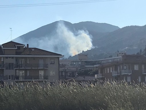 Sotto controllo l'incendio boschivo divampato tra Albenga e Alassio (FOTO)