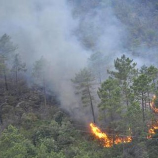 Antincendio boschivo, l'assessore Mai: "Il Governo implementi le risorse"