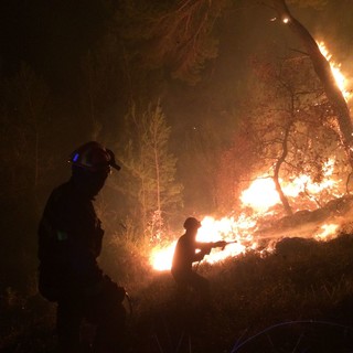 Incendi boschivi, Toti: "Serve riunione commissione Conferenza delle Regioni per concordare con i carabinieri e i vigili del fuoco nuovi protocolli operativi"