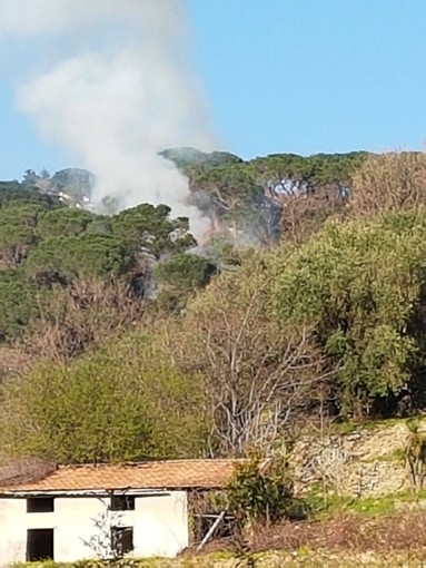 Riprendono a bruciare i boschi di San Bernardino, elicottero in azione