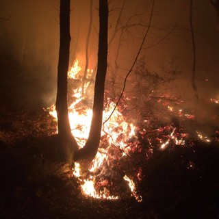 Emergenza incendi, Pastorino "Disoccupati e lavoratori socialmente utili per la pulizia e il rimboschimento"