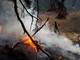 Incendio boschivo tra Bagnasco e Massimino: ore di lavoro per i vigili del fuoco