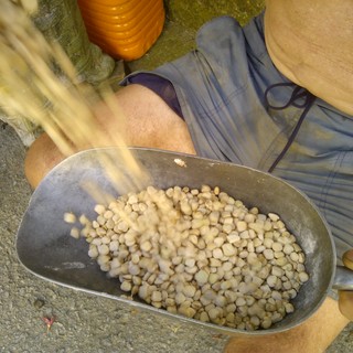 Val Bormida: il via alla fase 2 per la riscoperta del "moco"