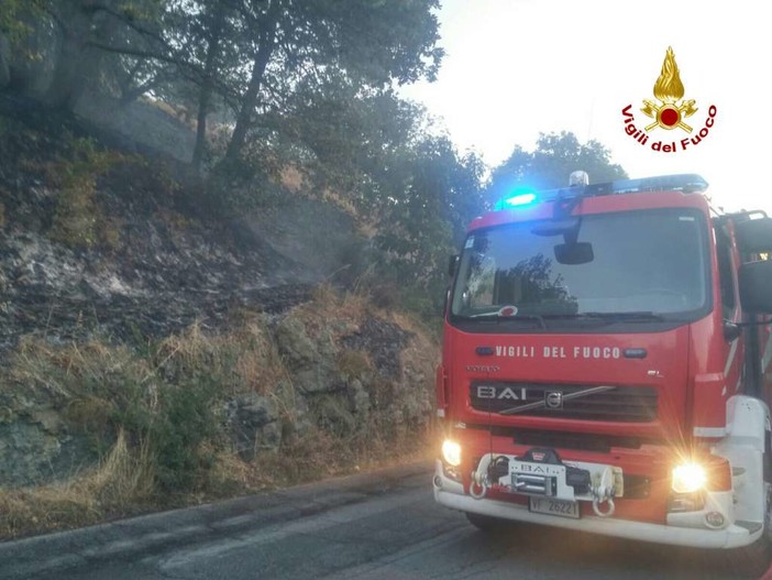 immagine di repertorio