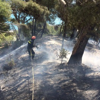 Incendio boschivo a Capo Mimosa, al confine tra la Provincia di Savona e Imperia