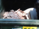 I &quot;furbetti del cassonetto&quot; colpiscono anche a Cervo: abbandonati materiali inerti in un contenitore della spazzatura a Capo Mimosa