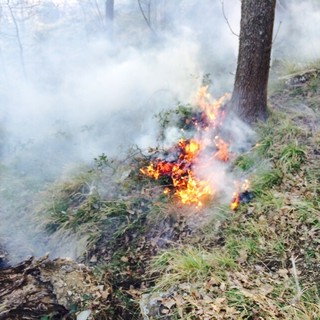 Incendio di Andora: ripresa l'attività del Canadair