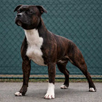 Foto di repertorio Foto di repertorio