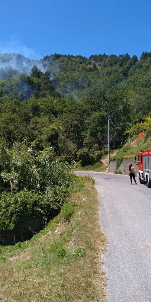 Balestrino, in fiamme il bosco in località Cuneo: Vigili del fuoco e volontari dell'Antincendio Boschivo in azione