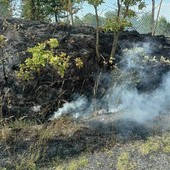 Incendio boschivo a Dego, le fiamme in località Paniera: i carabinieri forestali indagano (FOTO)