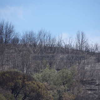 Incendio nell'albenganese: prosegue il presidio, notte tranquilla
