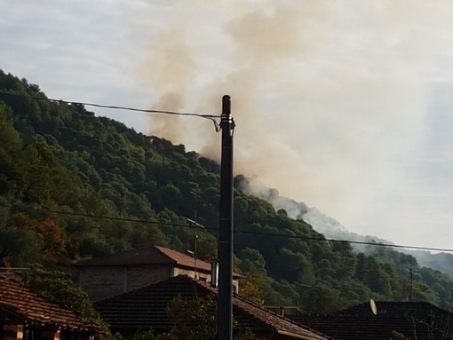 Stellanello, spento l'incendio boschivo in località Bossaneto: continua il presidio della zona Stellanello, spento l'incendio boschivo in località Bossaneto: continua il presidio della zona